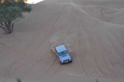 DSC_0105.jpg