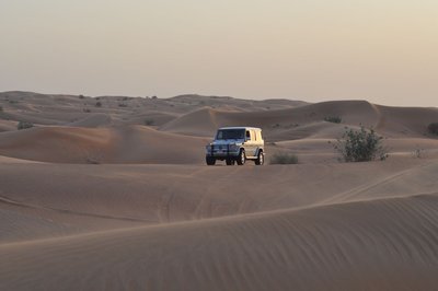 DSC_0074.jpg