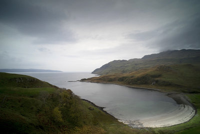DSC01639.jpg
