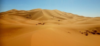 20140227_104503 (1024x470).jpg