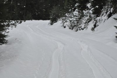 DSC_0325.JPG