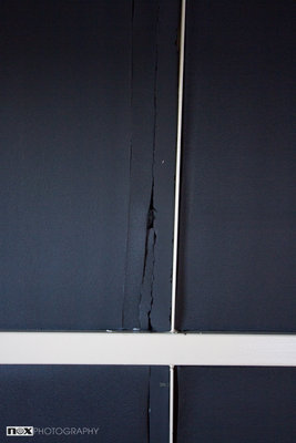 akela_271215-38.jpg