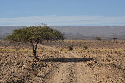 KMH_8898.JPG