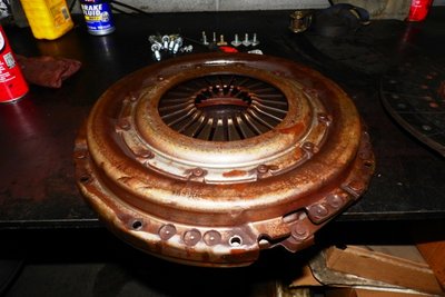 DSCN6782.JPG