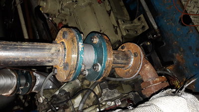20160604_193255.jpg