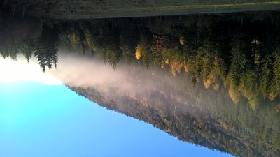 WP_20160926_08_12_49_Pro (1).jpg