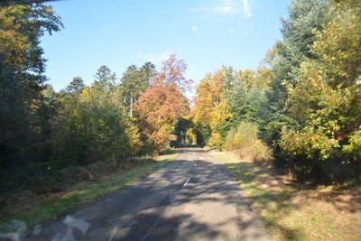 DSC_0133 - Kopie - Kopie.jpg