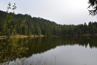DSC_0266.jpg