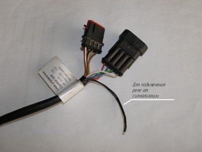 PB249449.jpg