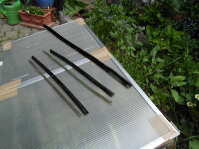 DSCI0358.JPG