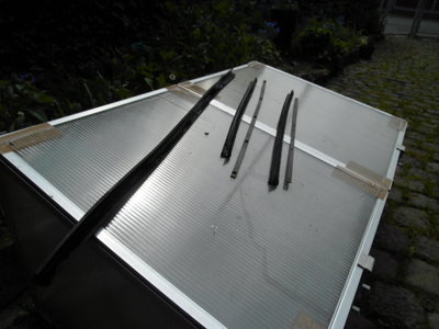 DSCI0357.JPG