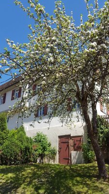 Frühlingsgefühle gab es auch jede Menge...
