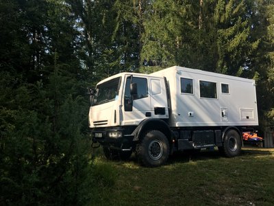 Vogesen auf einem Holzlagerplatz