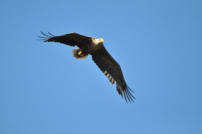 DSC_0371.JPG