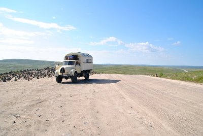 DSC_1606.JPG