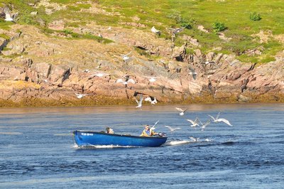 DSC_1734_01.JPG