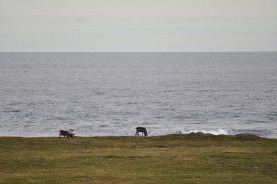 DSC_2533.JPG
