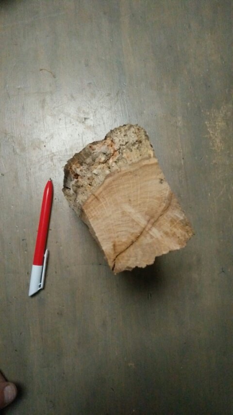 2018030510332000.jpg