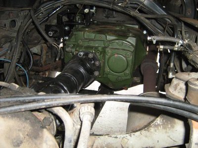 IMG_2230.jpg