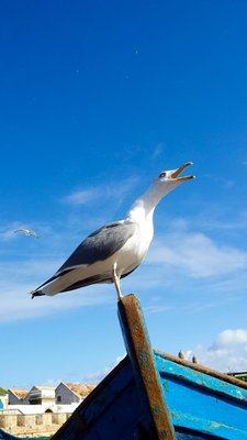 IMG_5887.jpg