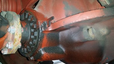 20180411_132227.jpg