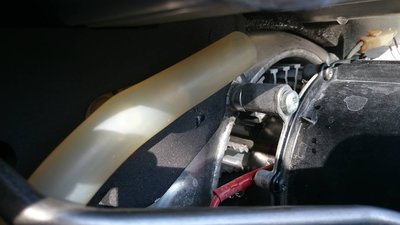 k-DSC_0339.JPG