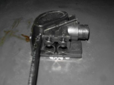 SDC10567.jpg