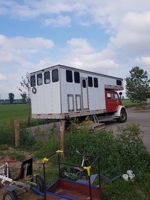 20180618_184523_resized.jpg