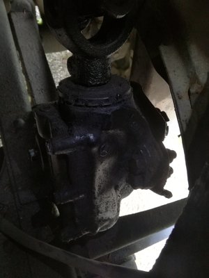 IMG_20180622_110303_klein.jpg