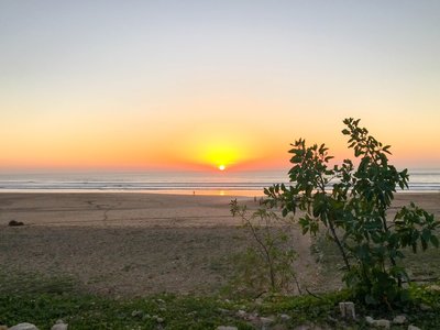 IMG_6982.jpg