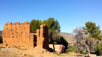 IMG_7138.jpg