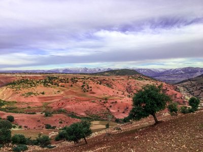 IMG_7375.jpg