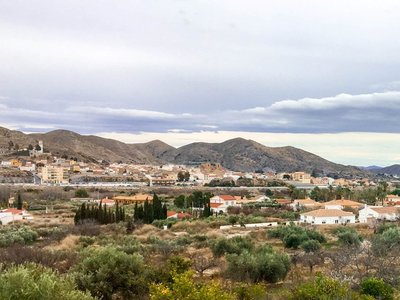 IMG_8148.jpg