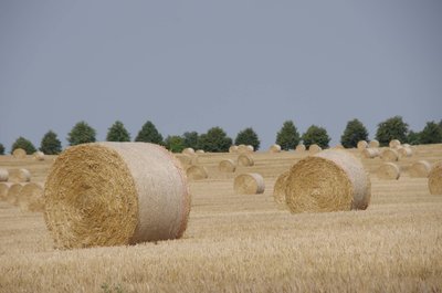 20180721_082730_unterwegs_003.JPG