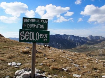 PA185905.jpg