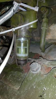 20190517_164325.jpg