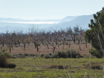 P1050729.25%.jpg