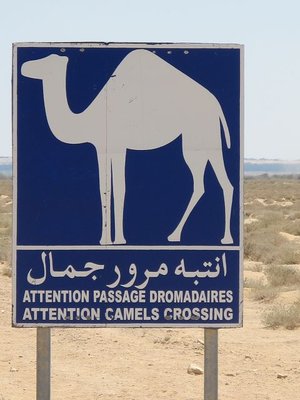 k-IMG_1566.jpg