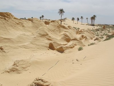 k-IMG_1786.jpg