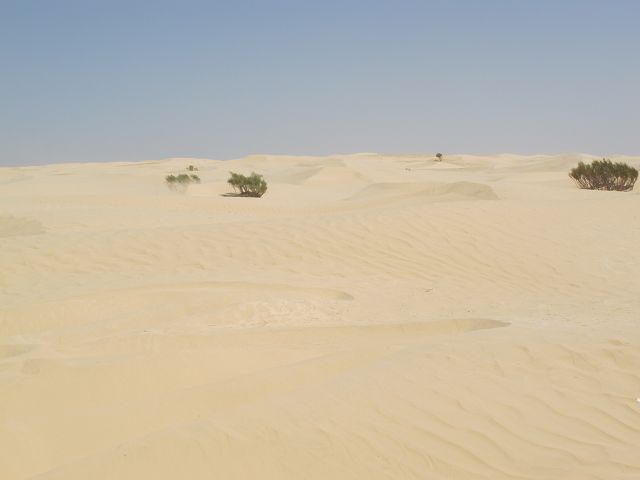 k-IMG_1815.jpg
