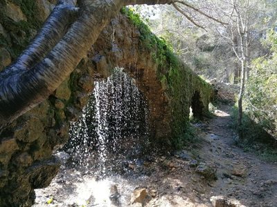 12928 La Murta 2.jpg
