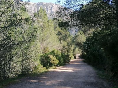 12928 La Murta 3.jpg
