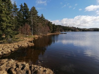 12936  Lac du Moulinet.jpg