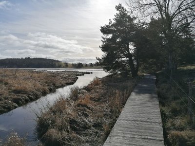12936 Lac de Moulinet 2.jpg