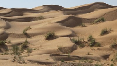 k-IMG_1985.jpg