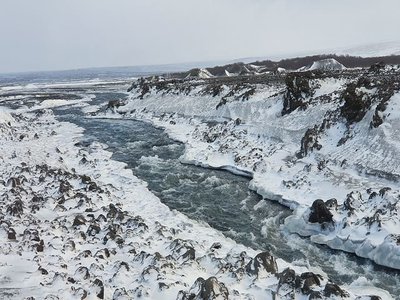 k-20200217_115826.jpg