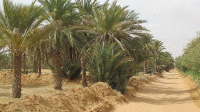 k-IMG_2023.jpg
