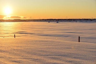 _DSC2246.jpg