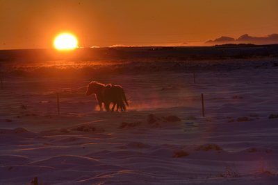 _DSC2240.jpg