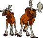 Benutzeravatar